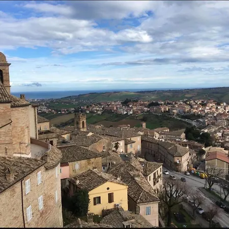 Falconi * Fermo